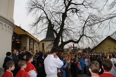 Kliknij aby obejrzeć w pełnym rozmiarze